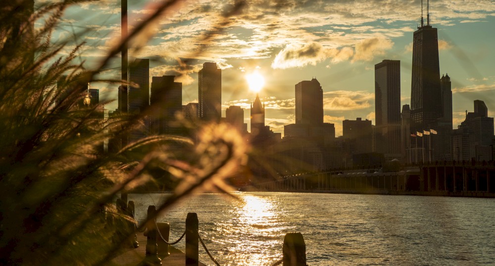 Sunset over a city skyline with tall buildings. In the foreground, there is a river and plants, creating a beautiful, serene scene.