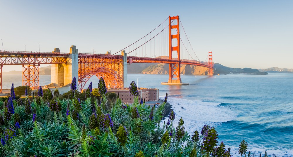 This image shows the Golden Gate Bridge in San Francisco with clear skies and calm waters, surrounded by lush greenery and purple flowers in the foreground.